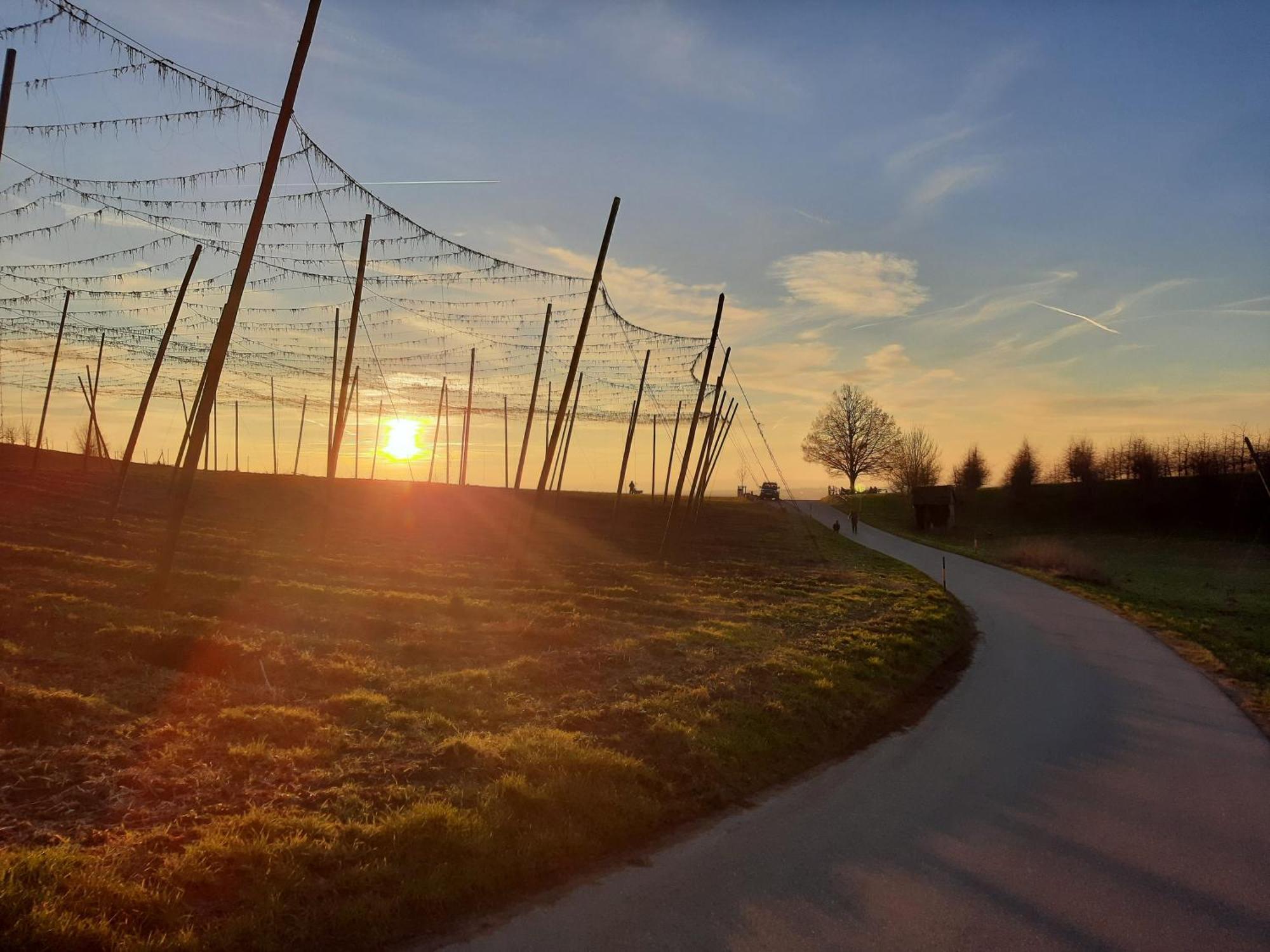 Am Dorfweiher Tettnang Exteriér fotografie