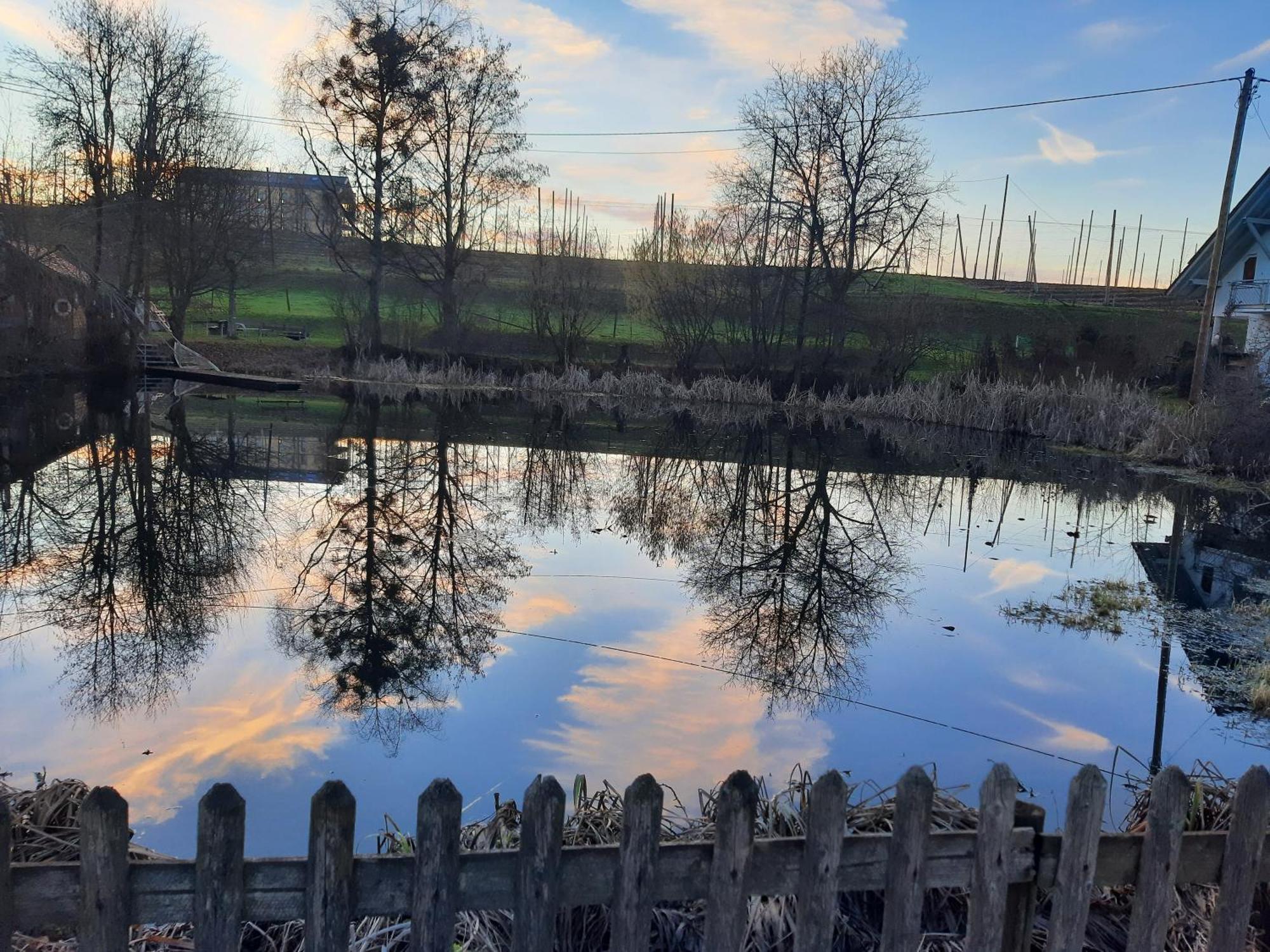 Am Dorfweiher Tettnang Exteriér fotografie